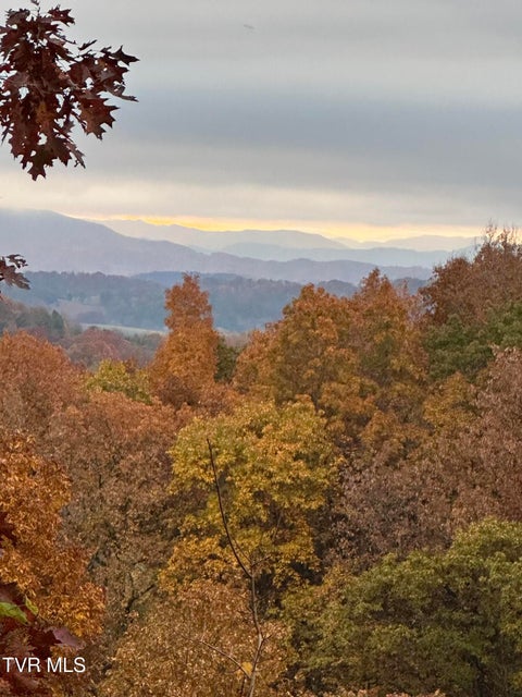 Photo #78: 669 Big Hollow Road