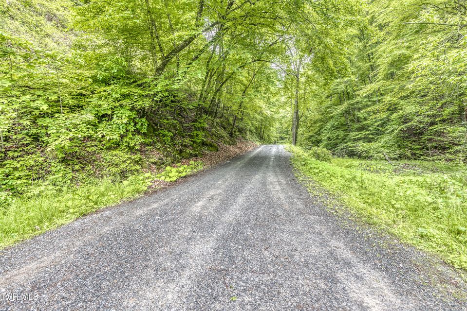 Photo #16: 11030 College Drive