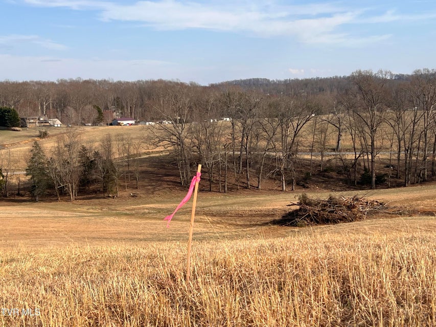 Photo #13: 00 Jackson Road