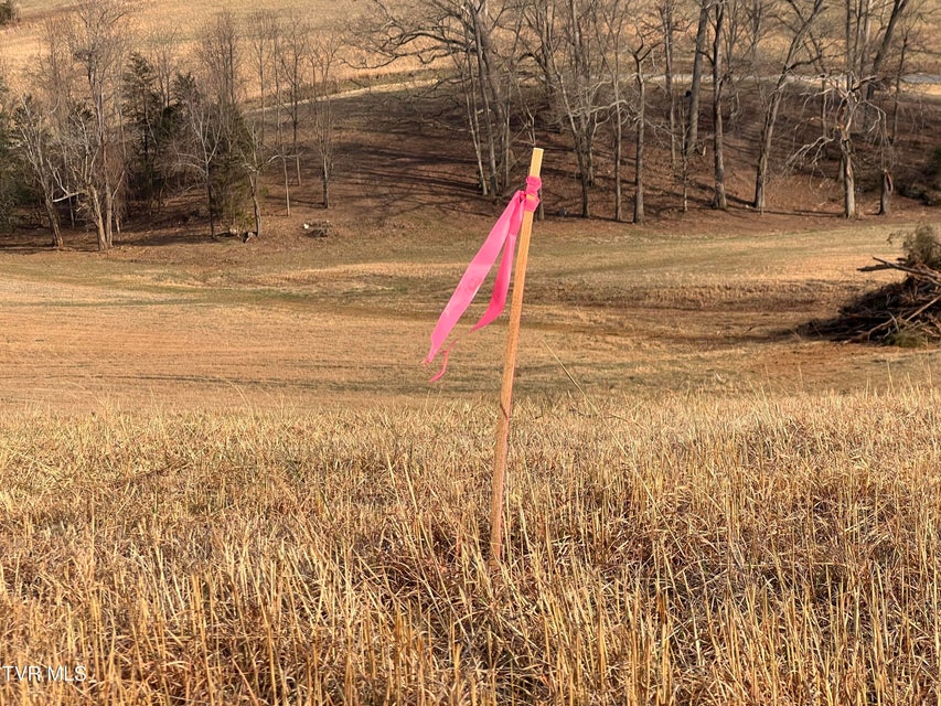 Photo #17: 00 Jackson Road