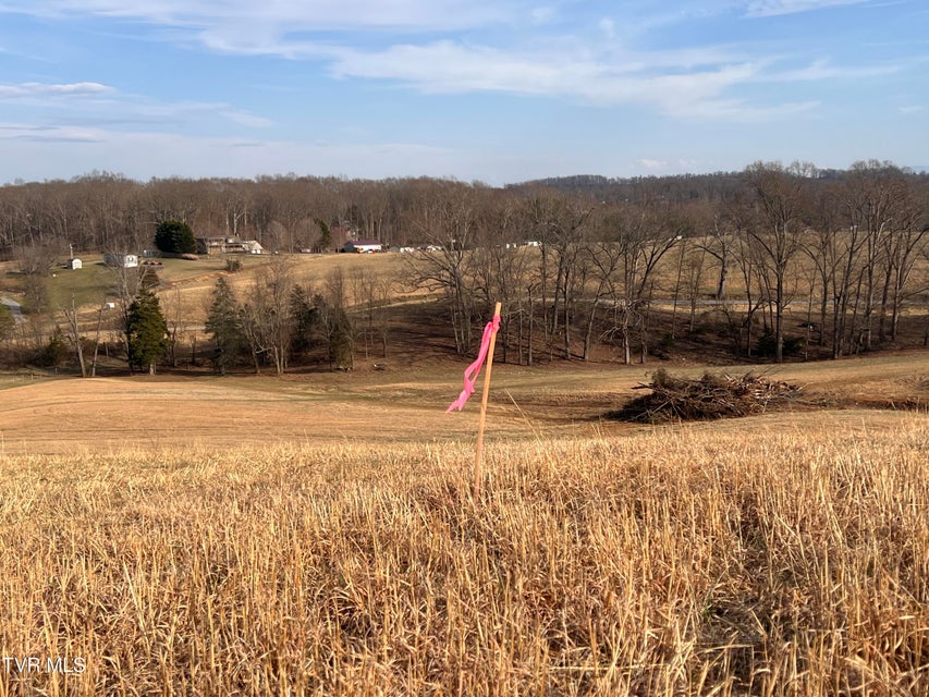 Photo #36: 00 Jackson Road