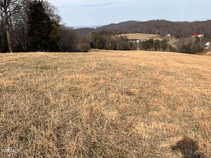 Photo #38: 00 Jackson Road
