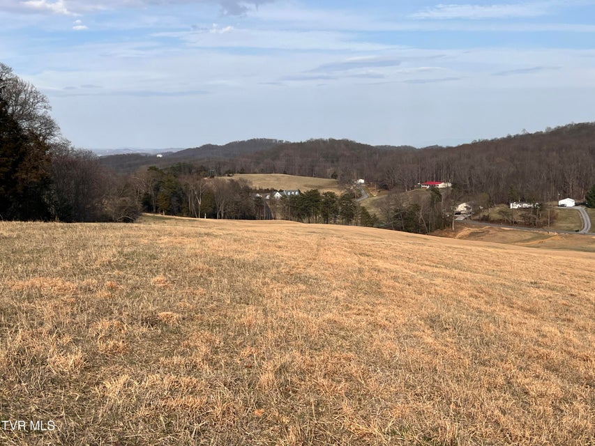 Photo #16: 00 Jackson Road