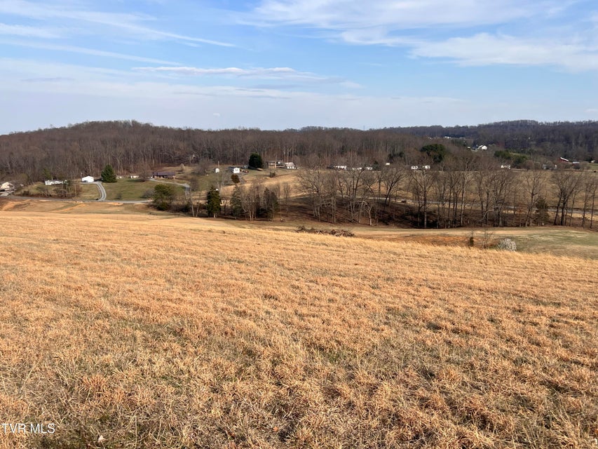 Photo #39: 00 Jackson Road