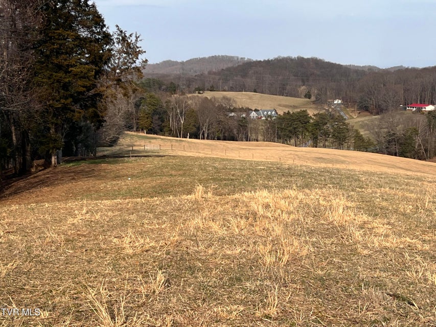 Photo #41: 00 Jackson Road
