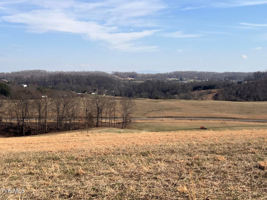 Photo #43: 00 Jackson Road