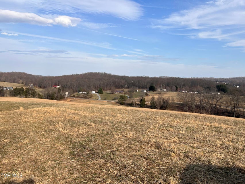 Photo #44: 00 Jackson Road