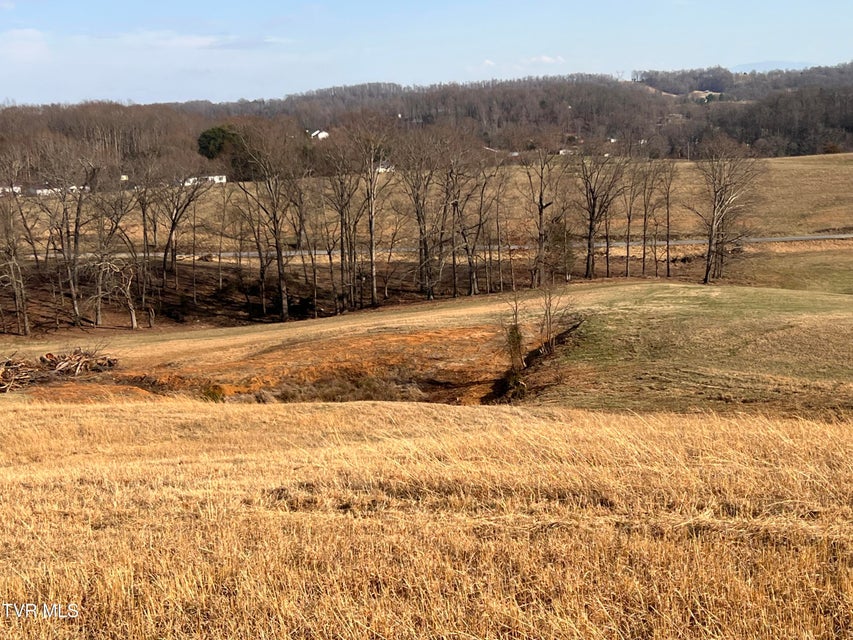Photo #46: 00 Jackson Road