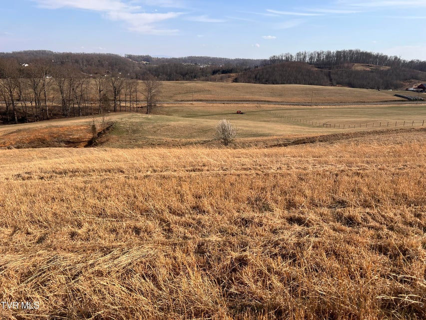 Photo #49: 00 Jackson Road