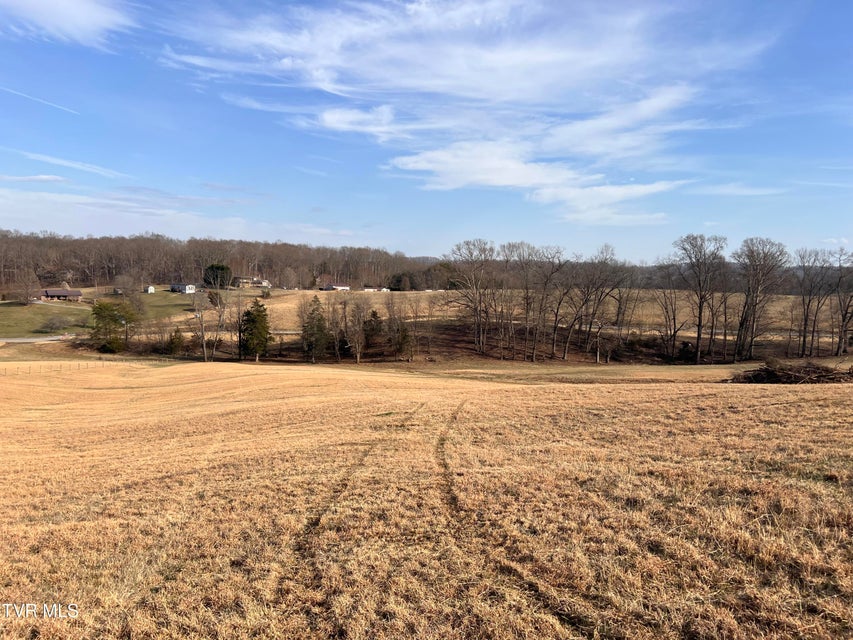 Photo #51: 00 Jackson Road