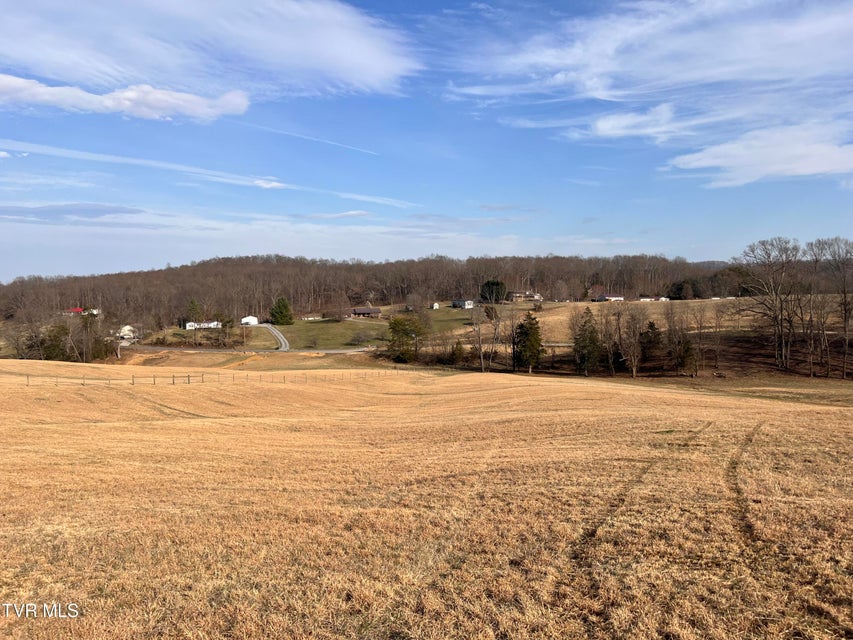 Photo #52: 00 Jackson Road