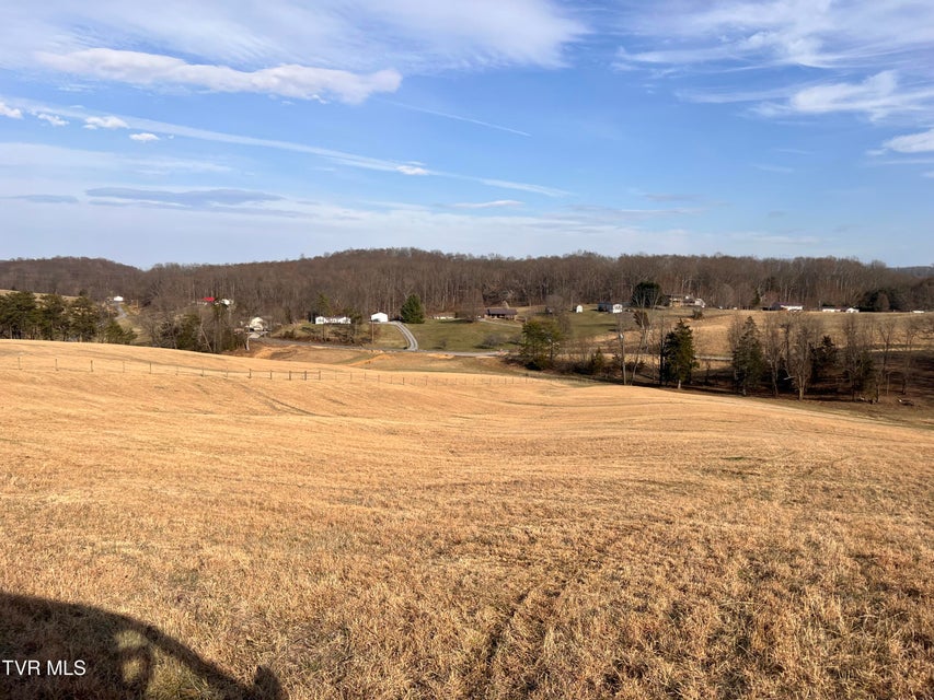 Photo #53: 00 Jackson Road