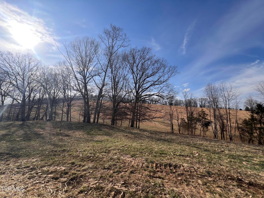 Photo #61: 00 Jackson Road