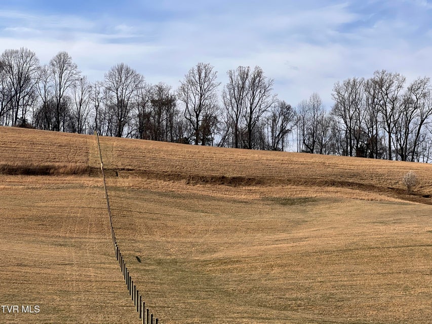 Photo #70: 00 Jackson Road