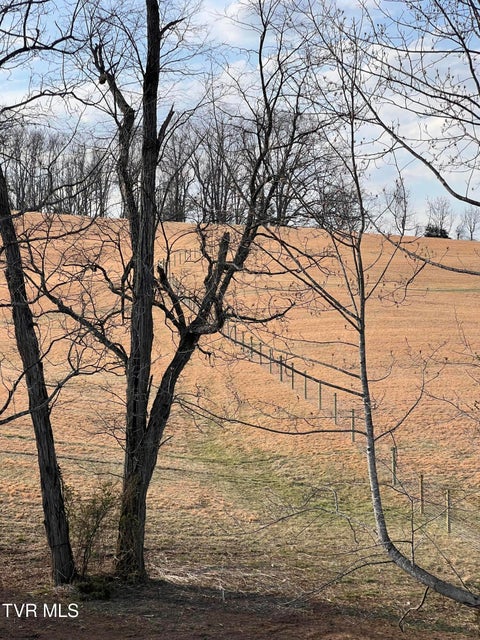 Photo #92: 00 Jackson Road