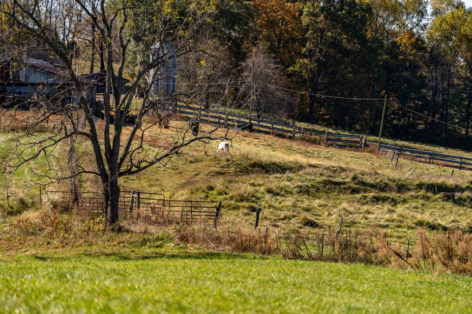Photo #33: 427 Douglas Shed Road