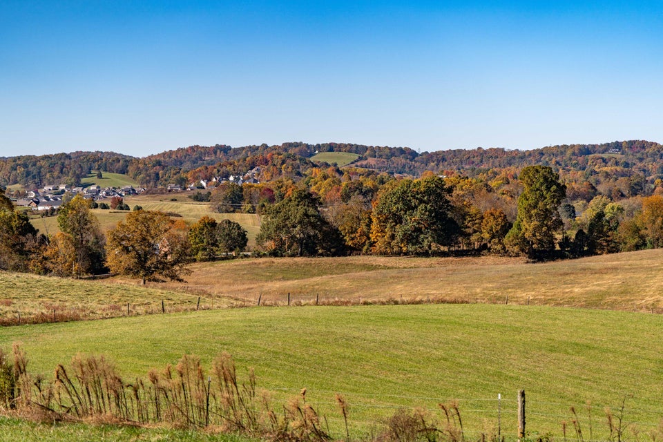 Photo #45: 427 Douglas Shed Road