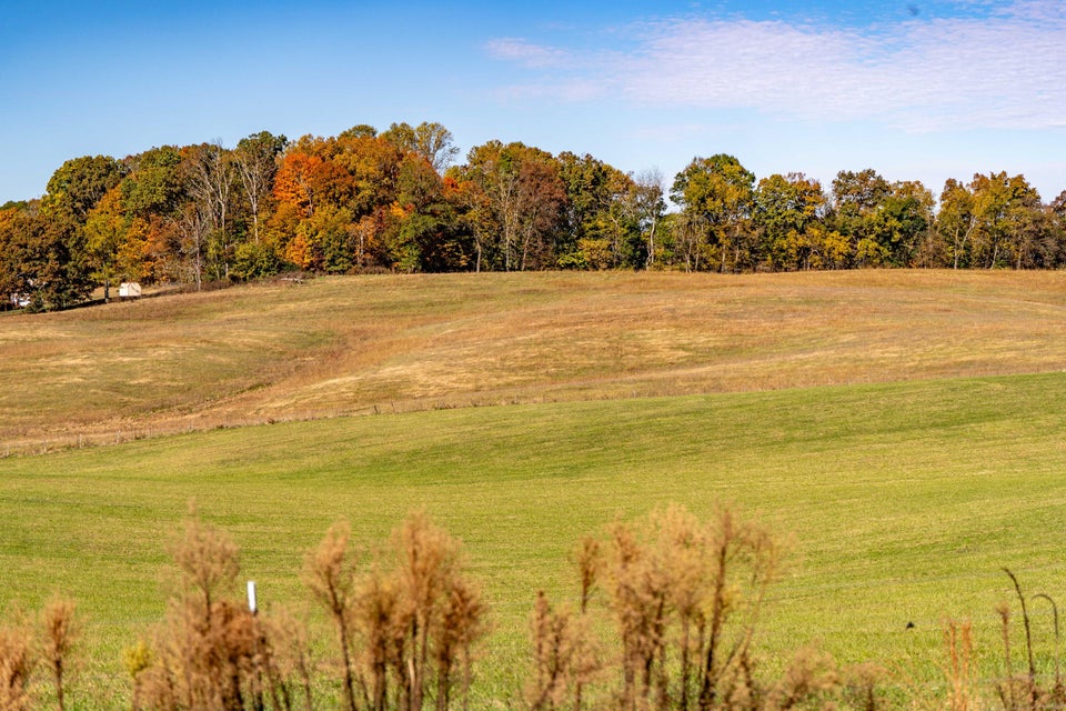 Photo #46: 427 Douglas Shed Road
