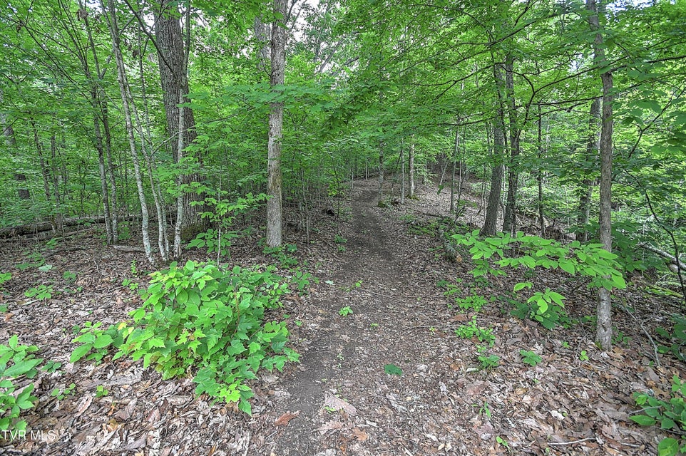 Photo #43: 669 Big Hollow Road