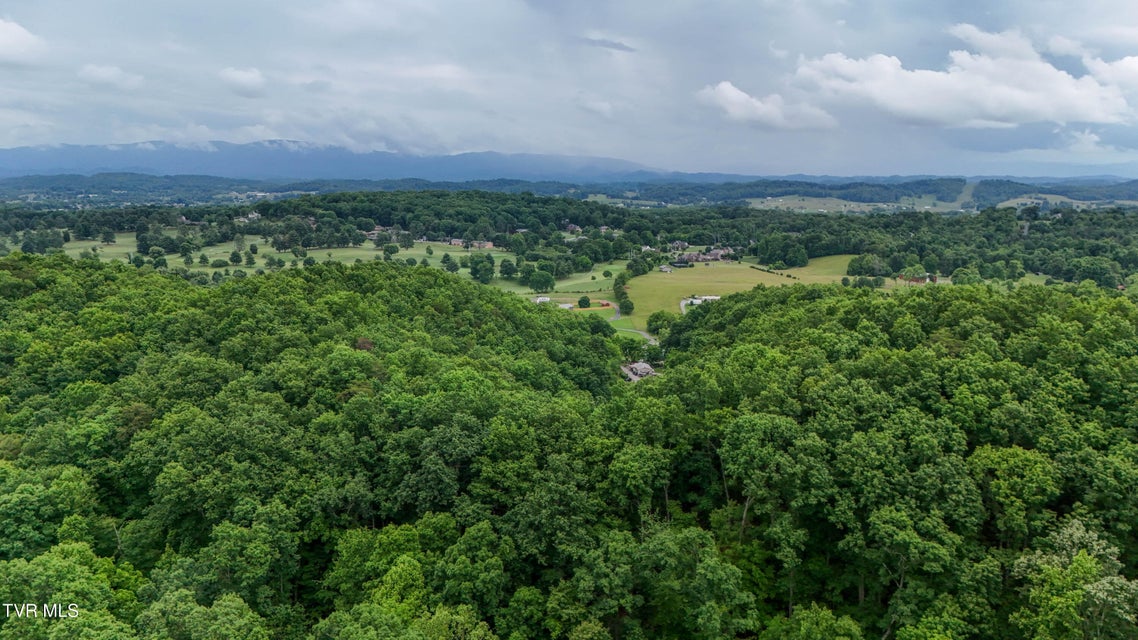 Photo #65: 669 Big Hollow Road