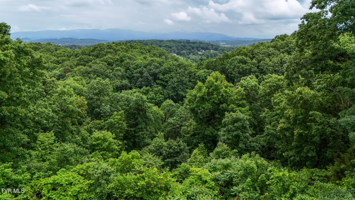 Photo #76: 669 Big Hollow Road