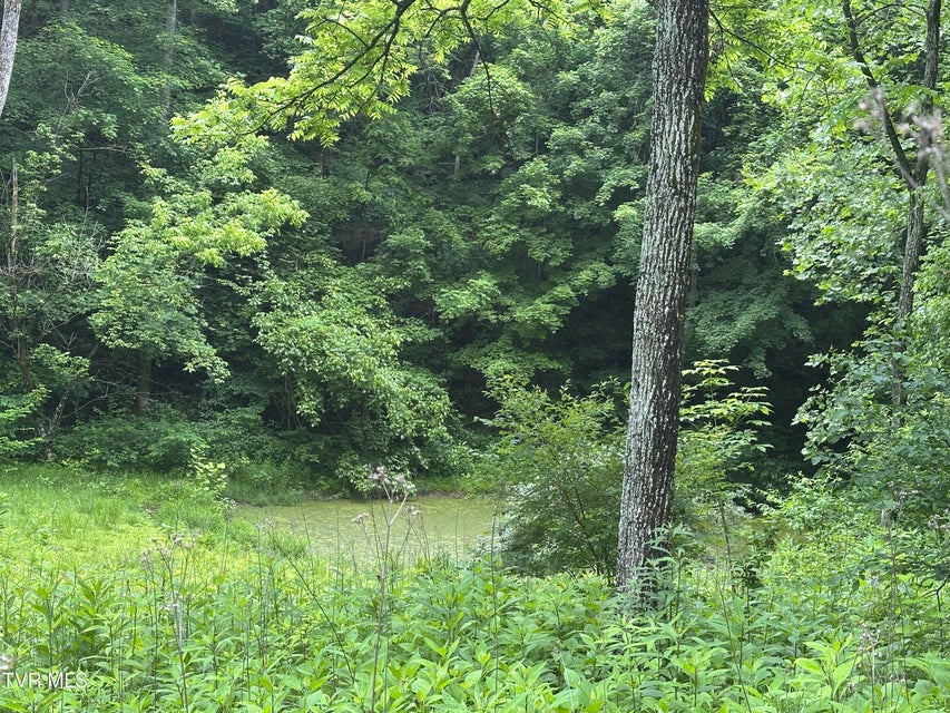Photo #21: Tbd Mineral Hill Lane