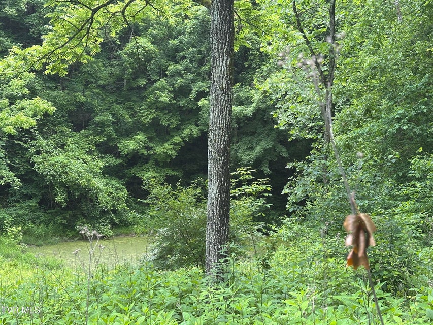 Photo #22: Tbd Mineral Hill Lane