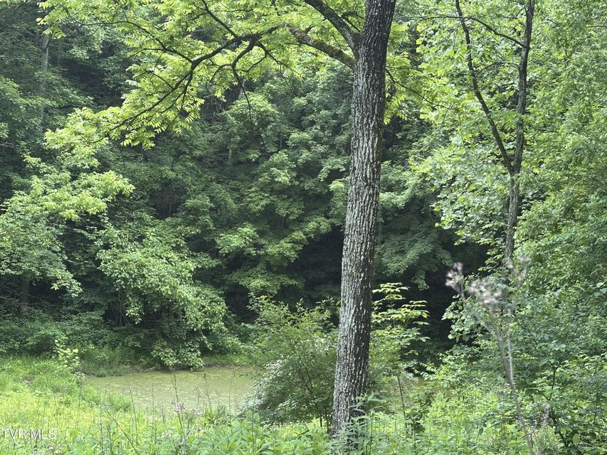 Photo #20: Tbd Mineral Hill Lane