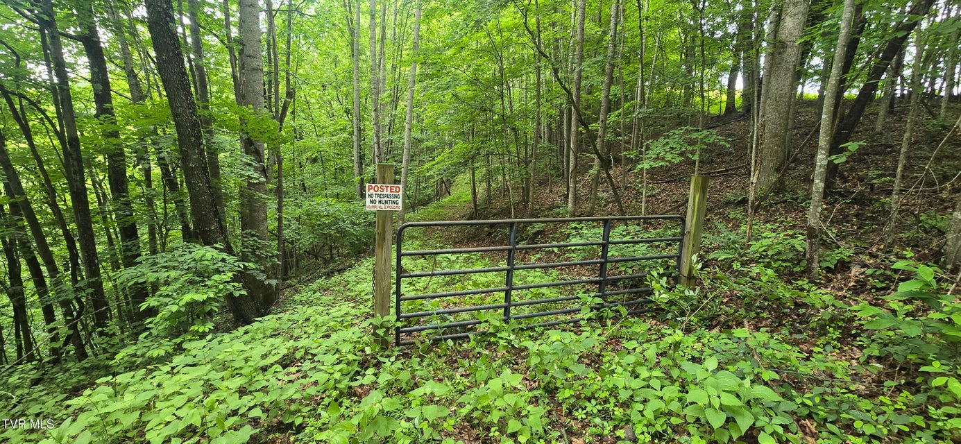 Photo #16: Tbd Mineral Hill Lane