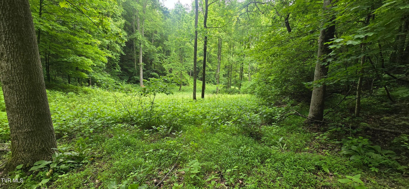 Photo #18: Tbd Mineral Hill Lane