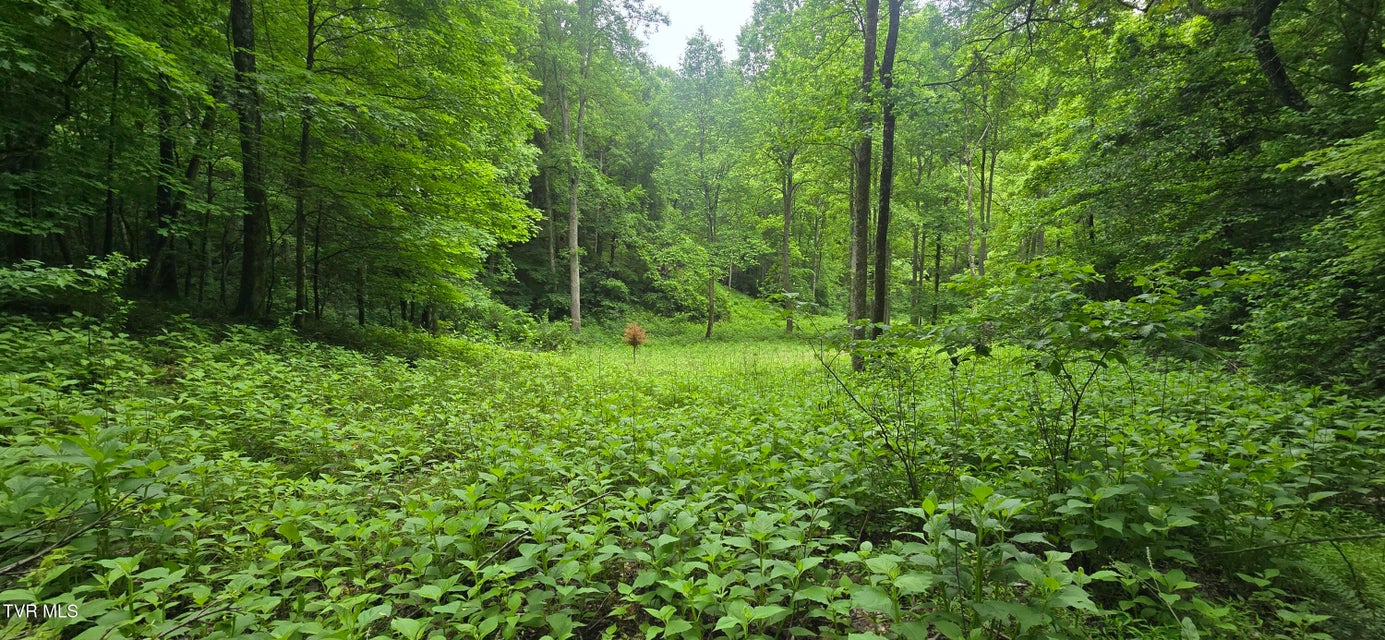 Photo #19: Tbd Mineral Hill Lane