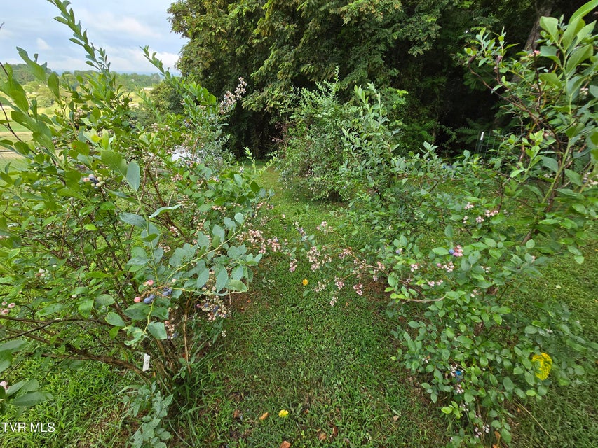 Photo #15: 265 Morrisett Chapel Road
