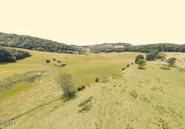 Photo #3: Tbd Tipton Lane