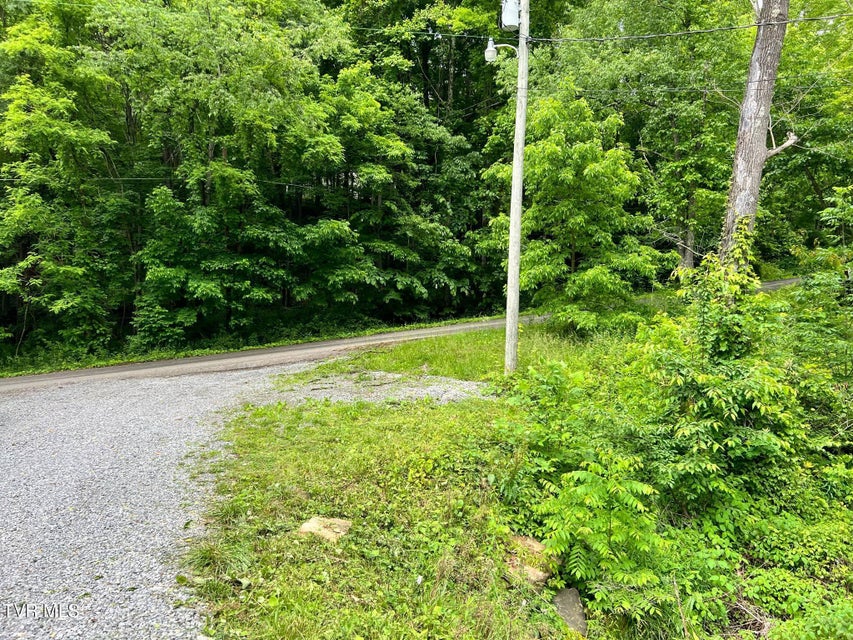 Photo #28: 10126 Green Hollow Road