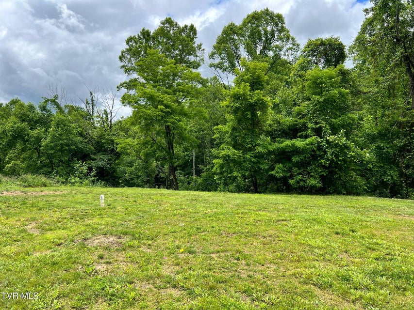 Photo #38: 10126 Green Hollow Road
