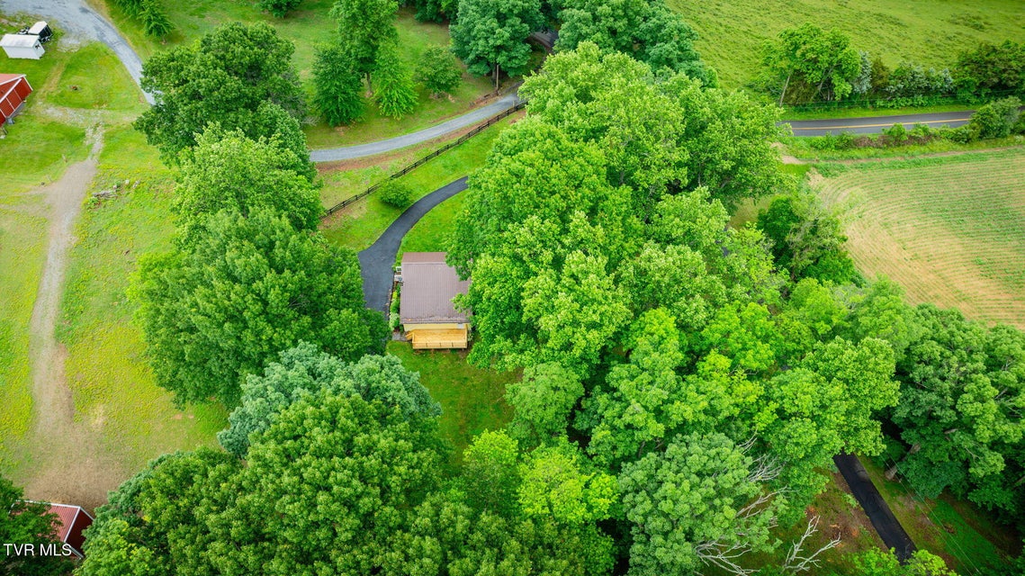 Photo #35: 319 Woodland Road