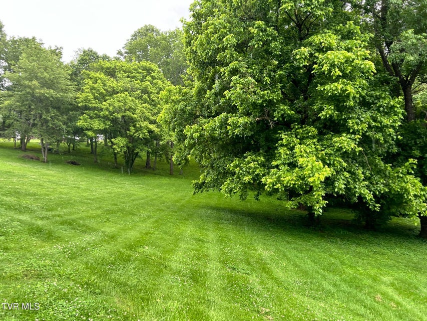 Photo #12: 853 Dryden Heights Drive