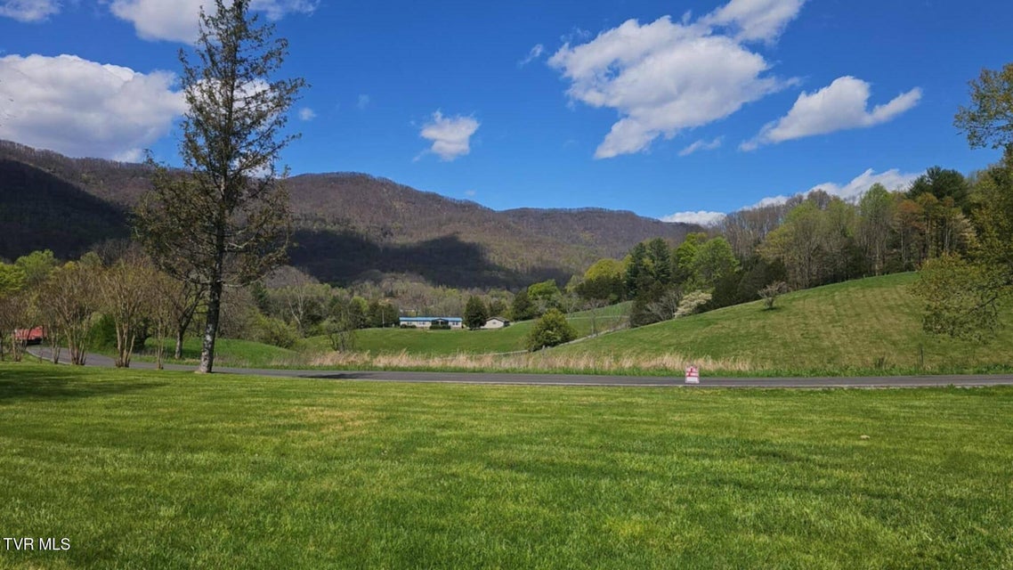 Photo #7: 853 Dryden Heights Drive