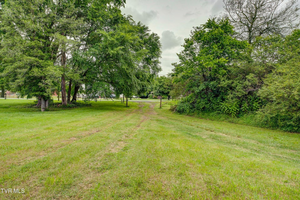 Photo #8: Tbd River Road