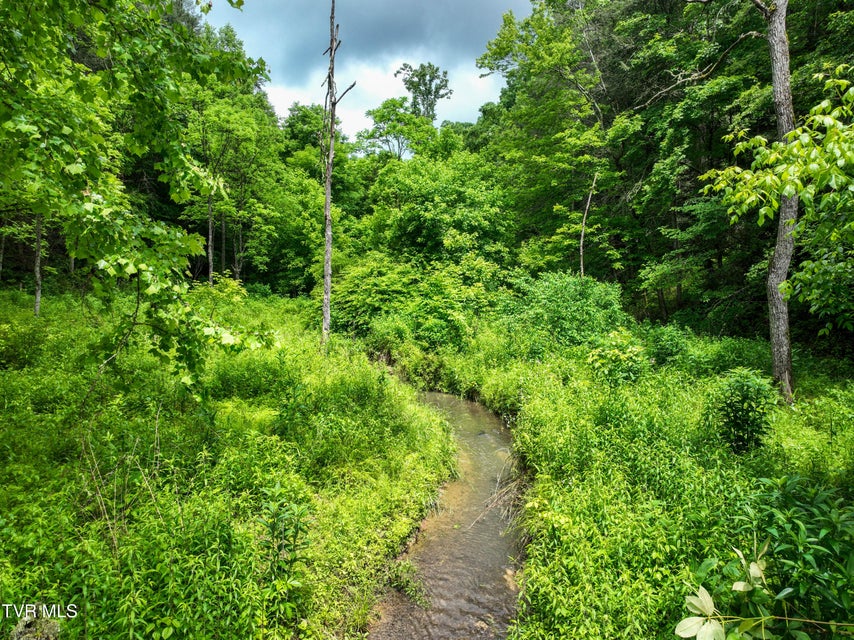 Photo #92: 24483 Cave Creek Road