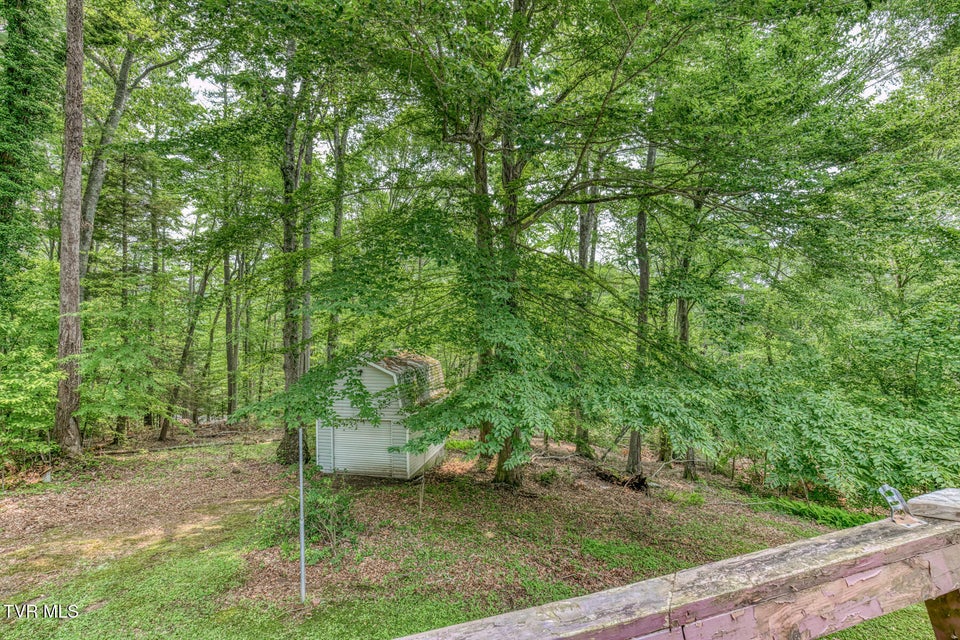 Photo #54: 390 Hillcrest Drive