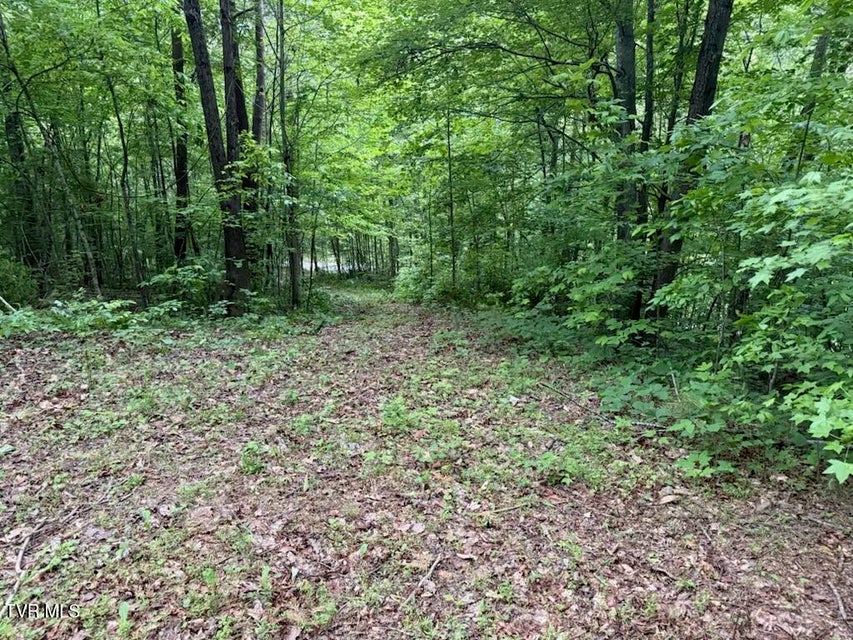 Photo #11: 613 Ensor Road