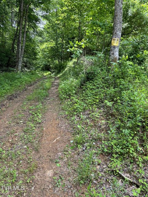 Photo #3: 719 Simerly Creek