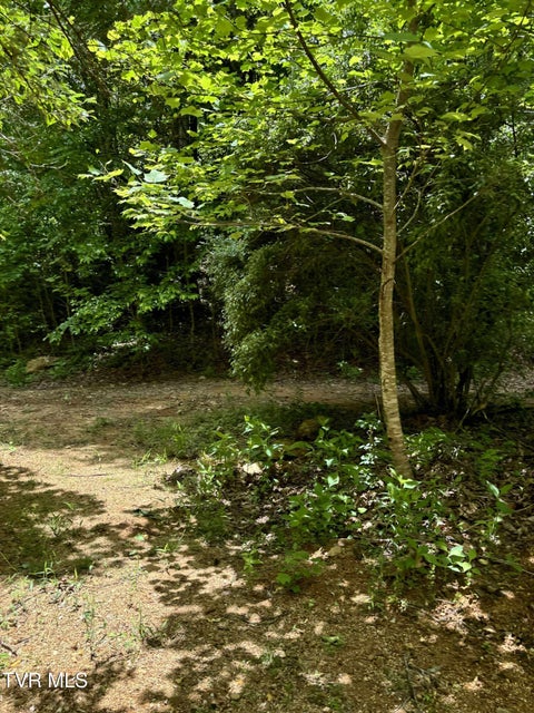 Photo #4: 719 Simerly Creek
