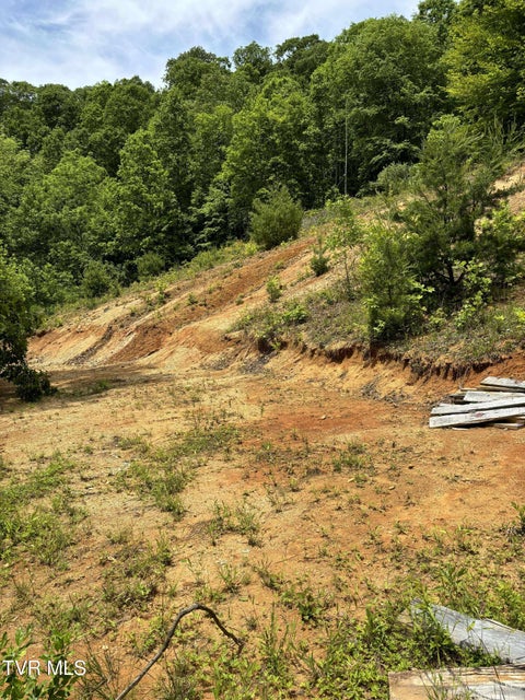 Photo #5: 719 Simerly Creek
