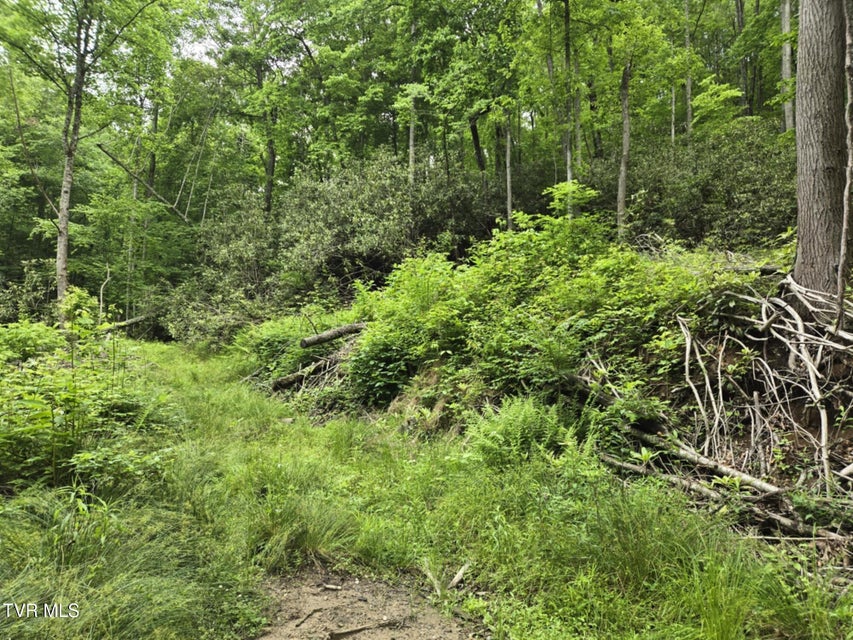 Photo #6: 719 Simerly Creek