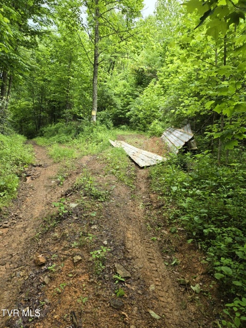 Photo #7: 719 Simerly Creek