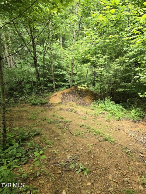 Photo #8: 719 Simerly Creek