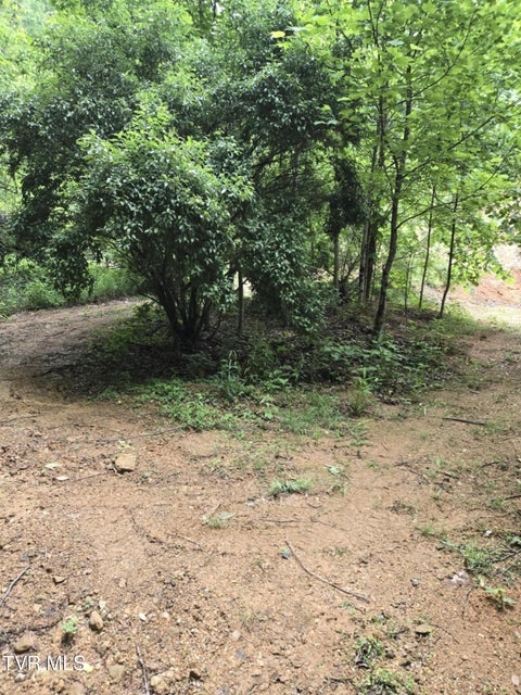 Photo #9: 719 Simerly Creek