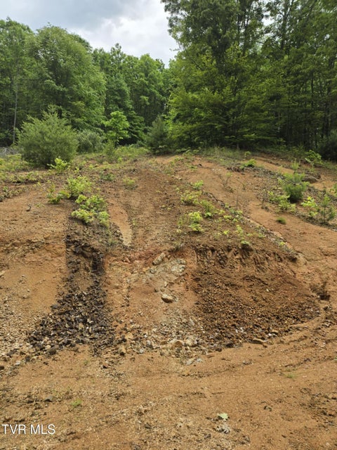 Photo #11: 719 Simerly Creek